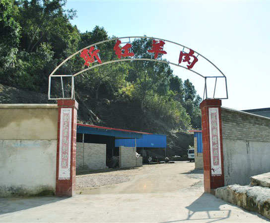基地展示