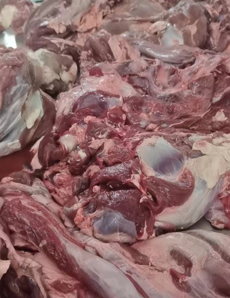 斯红羊肉